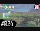【ティアキン＃24】凡人が行く龍泪旅