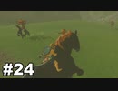 【ゆっくり実況】ゼルダの伝説BotW 4縛り#24
