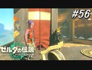 【ティアキン】鳥望台のそれって取れるの⁉【ゼルダの伝説 ティアーズ オブ キングダム】実況プレイ part56