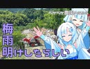 2023年7月20日　農作業日誌P696　出稼ぎへ行き摘果をしたが伐採もしていたよ