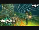 【ティアキン】怪奇！しゃべるコッコ⁉【ゼルダの伝説 ティアーズ オブ キングダム】実況プレイ part57