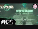 【ティアキン＃25】凡人が行く龍泪旅
