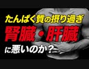 たんぱく質の摂り過ぎは腎臓や肝臓に悪いのか？ | ボディビルチャンピオンが解説【ビーレジェンド プロテイン】