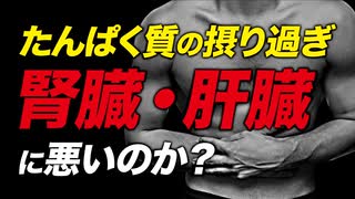 たんぱく質の摂り過ぎは腎臓や肝臓に悪いのか？ | ボディビルチャンピオンが解説【ビーレジェンド プロテイン】