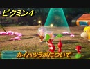 ピクミン４　カイハツラボについて　探索三日目　メインミッション攻略　＃１４　【Pikmin 4】