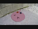 こう毎日暑いと溶けちゃうよね