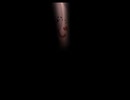 ＃1 【コエヲタヨリニ。SP】今度はJDですってよ【実況】