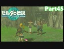 【45】ぼっち勇者の天空探検【ゼルダの伝説ティアーズオブザキングダム】