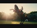 Harry Styles - Daylight