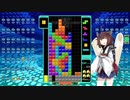 【VOICEROID実況】東北きりたんの毎日テト１チャレンジW 495日目【テトリス99】