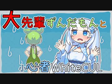大先輩ずんだもんに挨拶するWhiteCUL