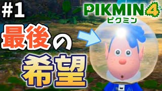 【神ゲー確定】全てを託された新米レスキュー隊員、出動！【ピクミン4】