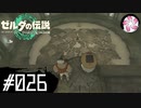 【ティアキン＃26】凡人が行く龍泪旅