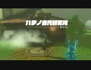 (ティアキン) ゼルダを探す旅part41  ハテノ村【ゼルダの伝説ティーアズオブザキングダム The Legend of Zelda Tears of the Kingdom 】