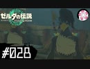 【ティアキン＃28】凡人が行く龍泪旅