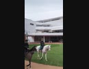 小さな先輩とカルパ君