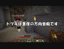 【マイクラ】グッバイ洞窟 Part10【エンドラ】
