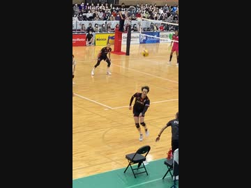 バレーボール見たよ