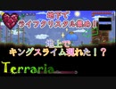 Terraria】まずは地下でライフクリスタルを集めよ！スライム来るの早くない...？"3