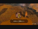【Switch】リンクがゾナウとゼルダ探し旅【プレイ動画】part05