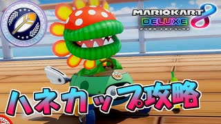 【マリカ8DX】新コースハネカップが美しい！【マリオカート8デラックス】