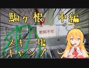 ぼっち旅 ♯4駒ヶ根 中編・千畳敷カール