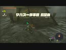 【ゼルダの伝説 ティアーズ オブ ザ キングダム】再びハイラルを救うまで【実況】 part58