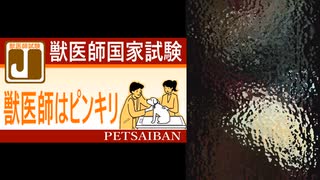 獣医師はピンキリ