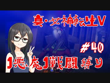 【真・女神転生V】1悪魔1戦闘縛り part40【花隈千冬実況】