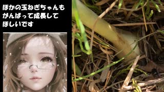 【はじめまして】今回から担当するマリナです。よろしくお願いします。
