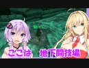 【ゼルダTOTK】蛮勇、悪知恵、暴力のトライフォースゆかり【VOICEROID実況プレイ】101