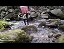 ニジマス釣り