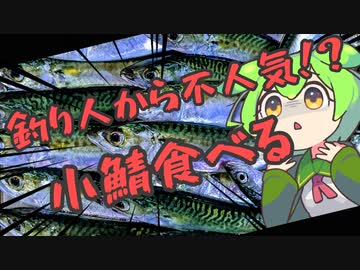 お腹がすいたら小鯖を釣ればいいじゃない