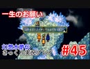 【夫婦で】幻想水滸伝さっくりプレイ#45【実況】