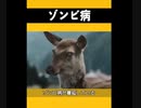 アメリカの鹿の中で蔓延…ゾンビ病とは