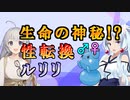 【VOICEROID解説】ポケモンアナクロ講座 #5「性転換ルリリ」