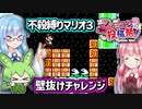 【不殺縛りマリオ３】問題のW6-5 壁抜けチャレンジ（なんでもあり？）【ファミコン動画投稿祭】