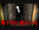 地下室から奇妙な音がするホラーゲームが怖い【Don't Go Down】