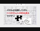 パズルが合致してきた ハリガネムシのDNA混入 ワクチン　水難事故多発　イベルメクチンは駆虫薬