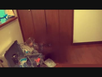 タクヤの居ない世界