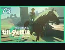 #075【ゼルダの伝説ティアーズオブザキングダム】ちょっと世界を翔けてくる【実況プレイ】