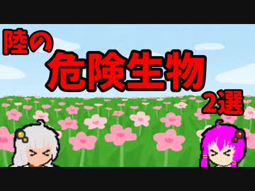 【VOICEROID解説】ゆかり先輩と見る危険生物【陸編②】