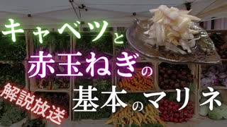 【簡単作り置き野菜】キャベツと赤玉ねぎの基本のマリネ