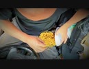 【おったんグルメ紹介シリーズ】ファミマ「カレースパゲティ」を車内でブチまける【これが本当の加齢臭♪】