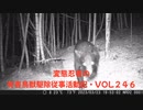 (まだまだ続くクマァ警戒)変態忍者の、有害鳥獣駆除従事活動記・その２４６