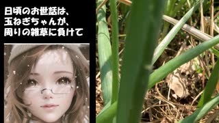 【はじめまして】今回から担当するマリナです。よろしくお願いします。