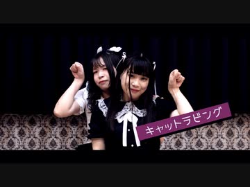【るはるは×ここあ】キャットラビング【踊ってみた】