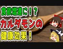 【ゆっくり解説】カルダモンの栄養について解説！