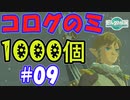 コログのミ1000個 part09 【ゼルダの伝説 ティアキン】