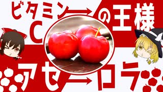 【ゆっくり解説】アセロラの栄養について解説！